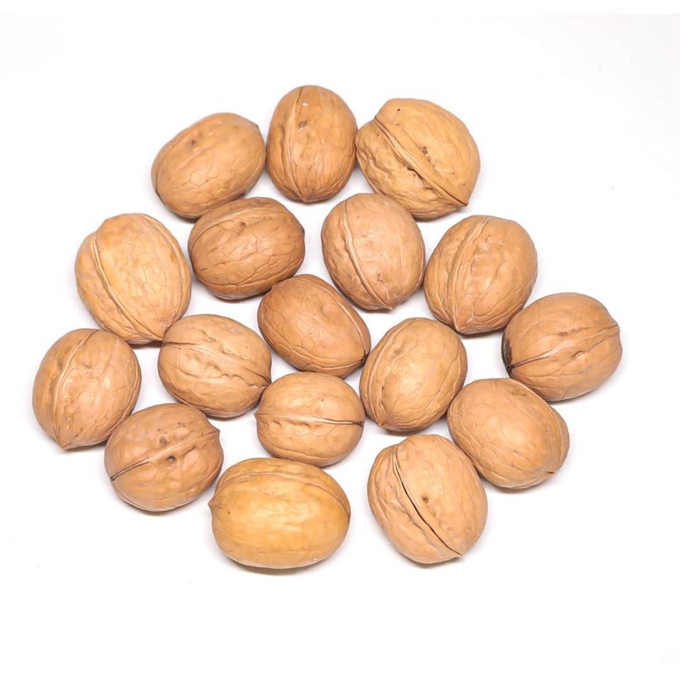 Nutural Walnut Nut